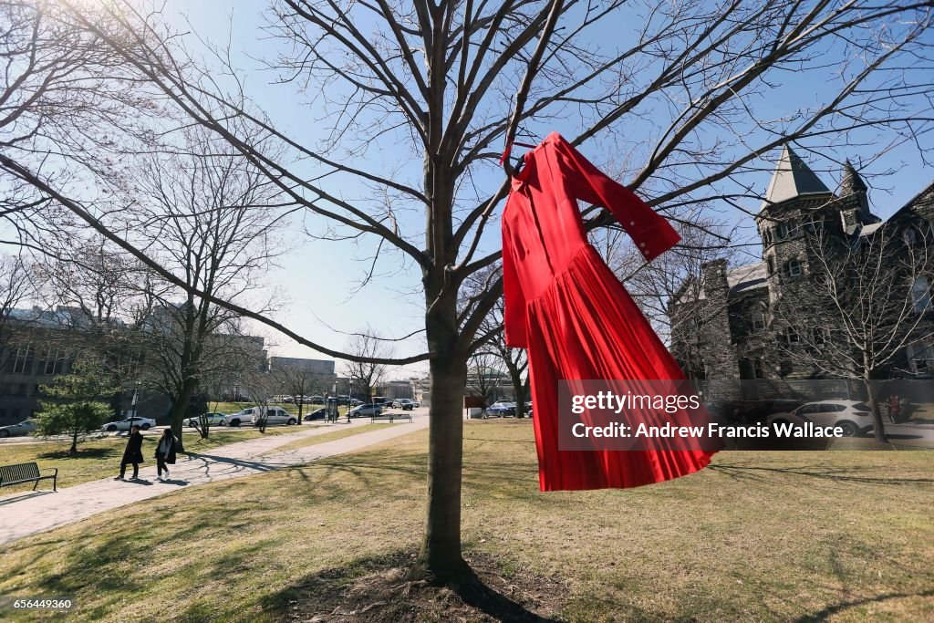 Red Dress Project