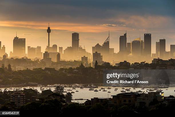 city skyline at sunset - sydney cityscape bildbanksfoton och bilder