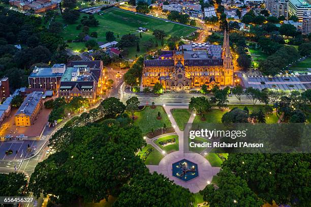 st mary's cathedral & hyde park at dusk - hyde park sydney bildbanksfoton och bilder