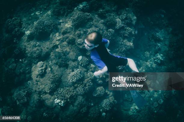 child swimming over a bleached coral reef - 2017 usa diving summer stock pictures, royalty-free photos & images