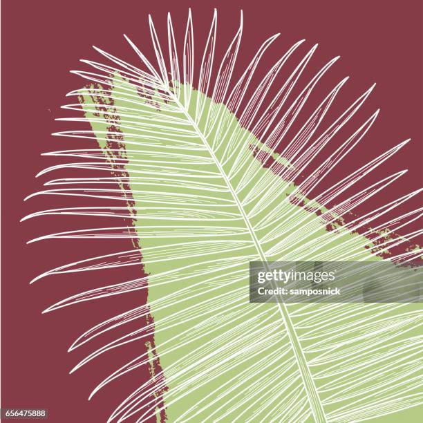 palm print mit splash - detailliert stock-grafiken, -clipart, -cartoons und -symbole