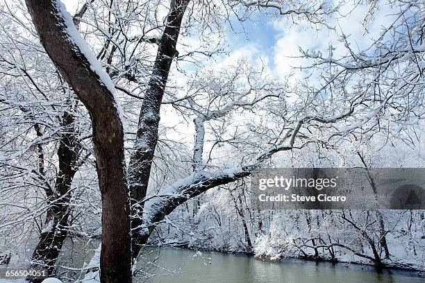 snow-coverd river bank - snow coverd stock pictures, royalty-free photos & images