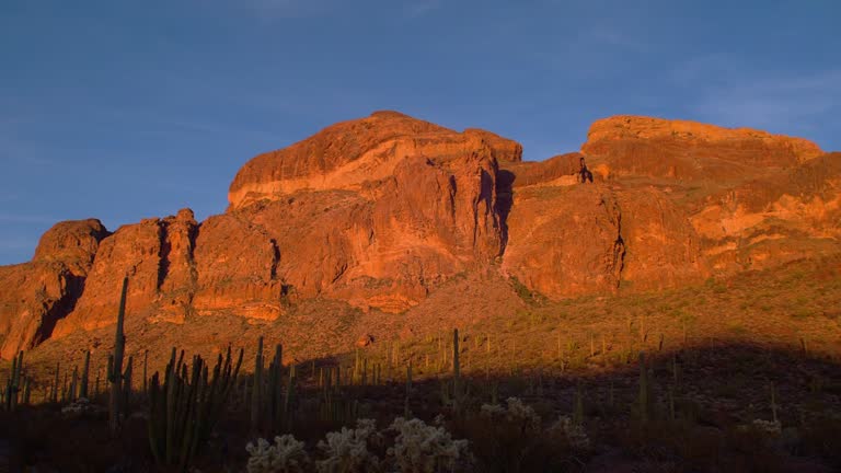 Sahno Ran 1,894 The Sonoran Desert Stock Videos, Footage, & 4K Video Clips ...