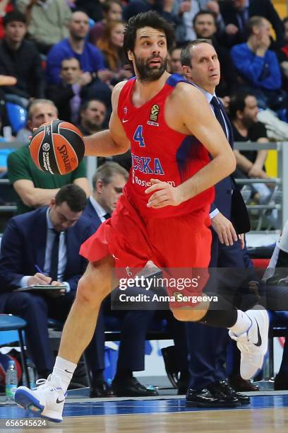 Basketball Player Darussafaka Basketball Roster Bilbao Basketball