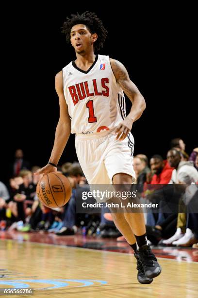 Cameron Payne of the Windy City Bulls brings the ball down court against the Westchester Knicks on March 21, 2017 at the Sears Centre Arena in...