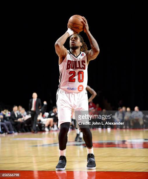 Cartier Martin of the Windy City Bulls at the free throw line against the Westchester Knicks on March 21, 2017 at the Sears Centre Arena in Hoffman...