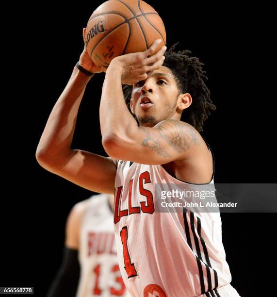 Cameron Payne of the Windy City Bulls at the free throw line against the Westchester Knicks on March 21, 2017 at the Sears Centre Arena in Hoffman...