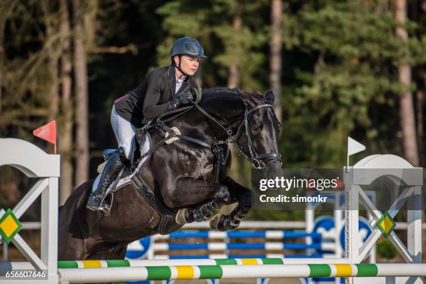 show jumping - recreational horseback riding stock pictures, royalty-free photos & images