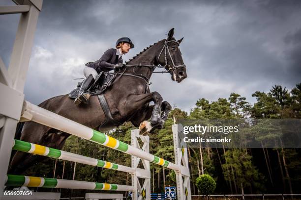 show jumping - equestrian show jumping stock pictures, royalty-free photos & images