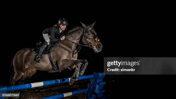 springreiten - equestrian show jumping stock-fotos und bilder