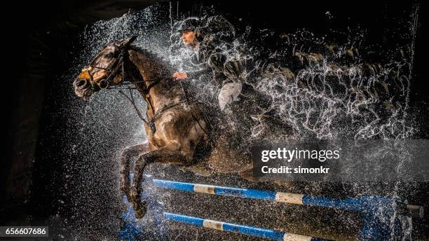 mostra salto - equestrian show jumping foto e immagini stock