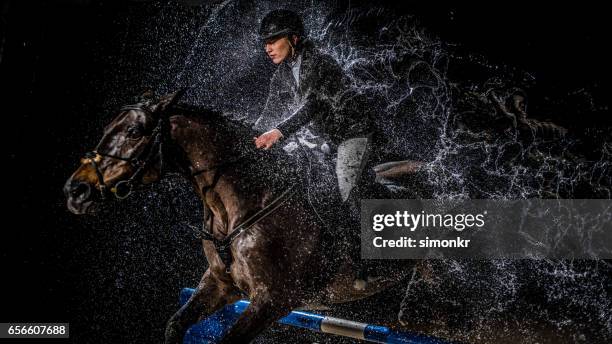 show jumping - championships day one stock pictures, royalty-free photos & images