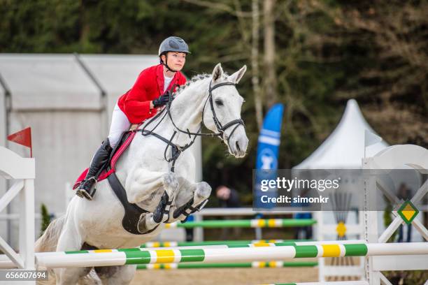 springreiten - equestrian show jumping stock-fotos und bilder