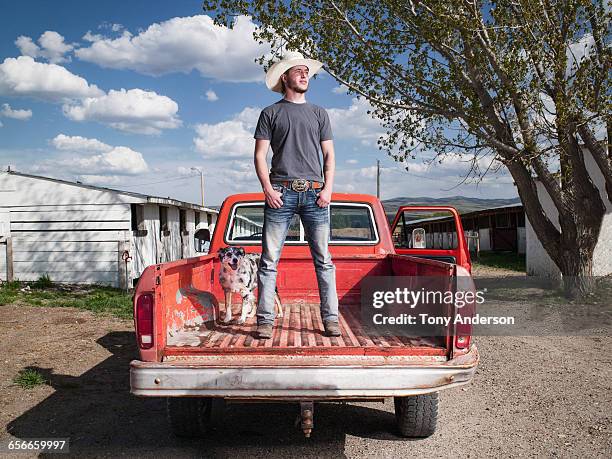 young man standing in pickup truck with dog - farm truck stock pictures, royalty-free photos & images