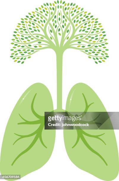 緑の木の肺のイラスト - inhaling点のイラスト素材／クリップアート素材／マンガ素材／アイコン素材
