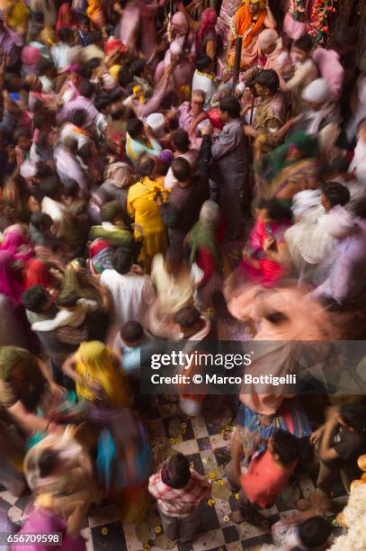 celebrations of holi. vrindavan, india. - uttar pradesh assembly stock pictures, royalty-free photos & images