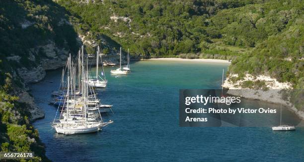 sail boats moored at l'arenella cove (calanque de l'arenella) in the town bonifacio, corsica, france - calanques stock pictures, royalty-free photos & images
