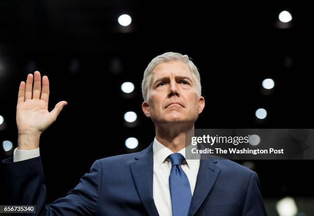 President Donald Trump's nominee Judge Neil Gorsuch for the US Supreme Court is sworn in and makes his statement before the Senate Judiciary...