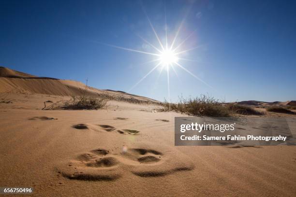 sand dunes against blue sky and bright sun - sahara　sunrise ストックフォトと画像