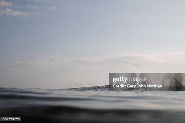 dark swell of ocean surface - water horizon stock pictures, royalty-free photos & images