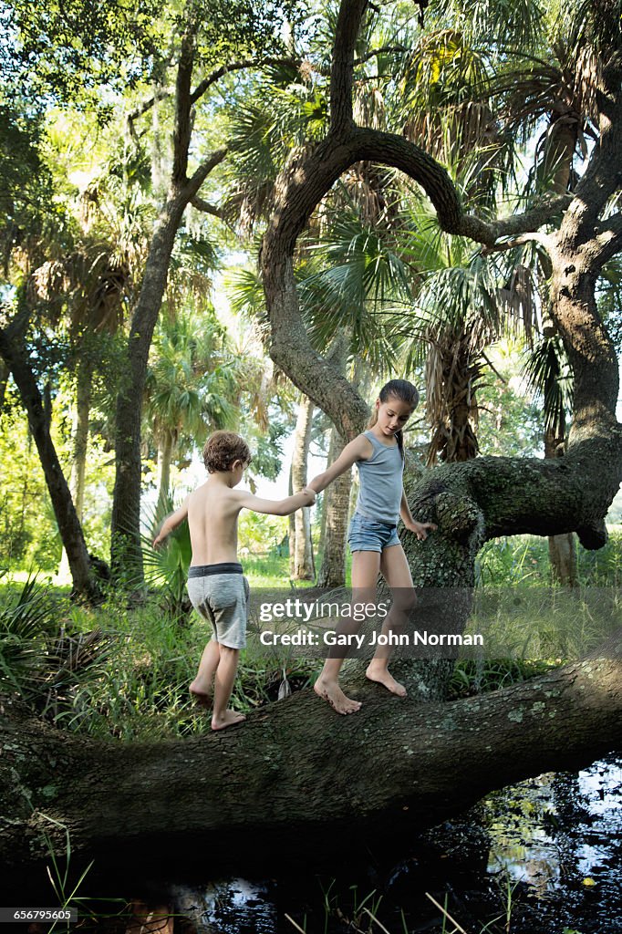 Young girl helps boy to climb on fallen tree