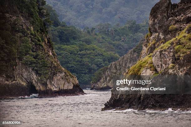 cocos island. - cocos island costa rica 個照片及圖片檔