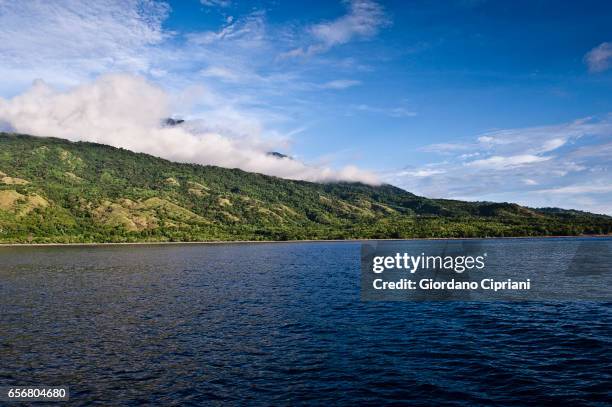 cocos island national park. - cocos island stock-fotos und bilder