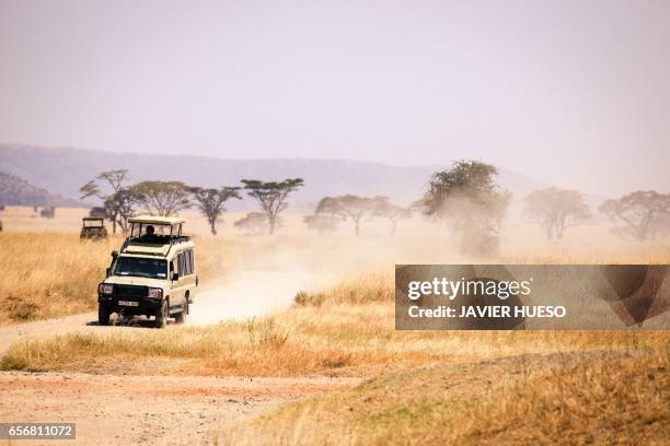 safari - áfrica stock-fotos und bilder