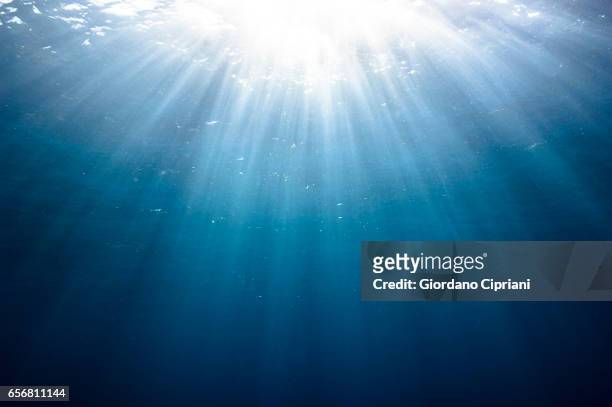the underwater world of the cocos islands. - sea sunlight underwater stock pictures, royalty-free photos & images