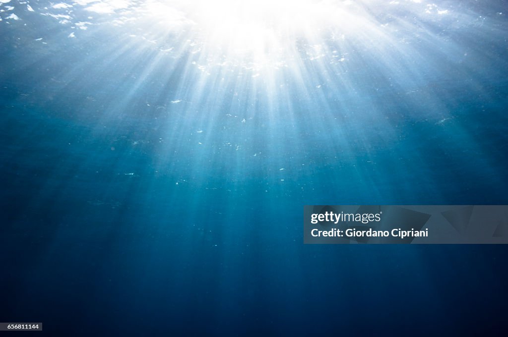 The underwater world of the Cocos Islands.