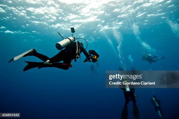 the underwater world of the cocos islands. - undersea diver stock pictures, royalty-free photos & images