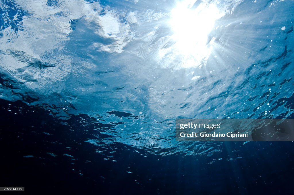 The underwater world of the Cocos Islands.