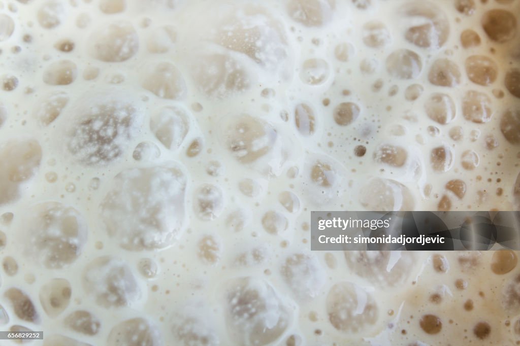 Yeast Fermented as a Background