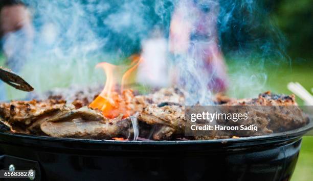 tasty tandoori bbq - charcoal food stock pictures, royalty-free photos & images