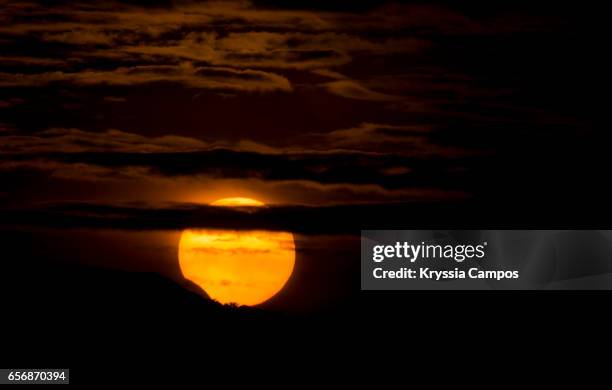 Partail Sun 27,338 Partial Sun Stock Photos, High-Res Pictures, and Images - Getty ...