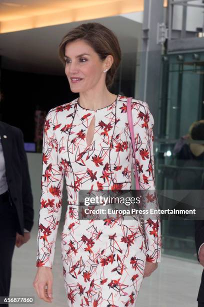 Queen Letizia of Spain attends European Conference 'Tabajo O Salud' against Cancer at Sheraton Porto Hotel on March 23, 2017 in Porto, Portugal.