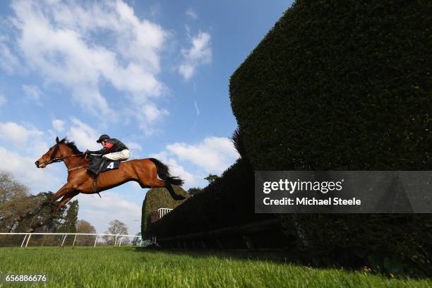 David Noonan riding Cailleach Annie during the ECIC Handicap Steeple Chase race at Chepstow Racecourse on March 23, 2017 in Chepstow, Wales.