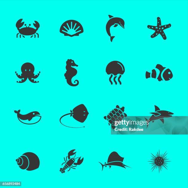 ilustrações de stock, clip art, desenhos animados e ícones de marine life icons - marine icon