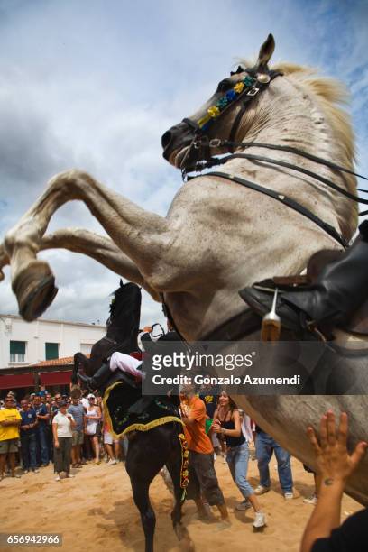jaleo, traditional festival at minorca island - minorca stock pictures, royalty-free photos & images