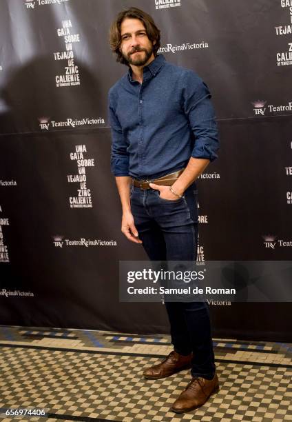 Felix Gomez attends 'Una Gata Sobre Un Tejado de Zinc Caliente' Madrid Premiere on March 23, 2017 in Madrid, Spain.