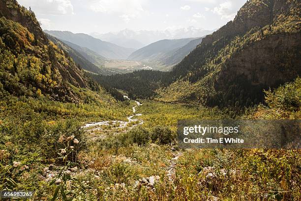 svaneti, republic of georgia - georgia country stock pictures, royalty-free photos & images