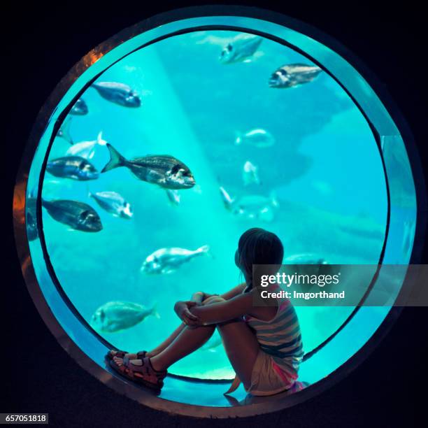 little girl visiting a huge aquarium - aquarium stock pictures, royalty-free photos & images