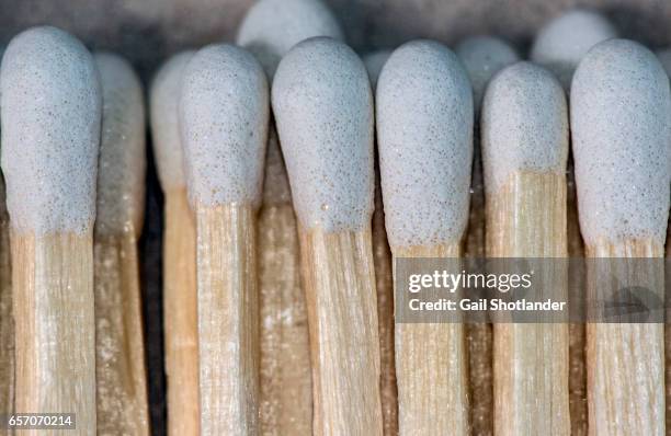 Fusing Matches 137 Row Of Matches Igniting Each Other Stock Photos, High-Res Pictures ...
