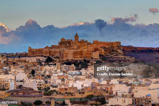cittadella vicotria in gozo in the morning light - victoria stock-fotos und bilder