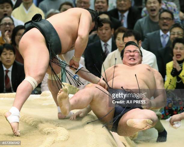 Japanese "yokozuna" or sumo grand champion Kisenosato is thrown out of the ring by Mongolian yokozuna Harumafuji during their bout at the Spring...