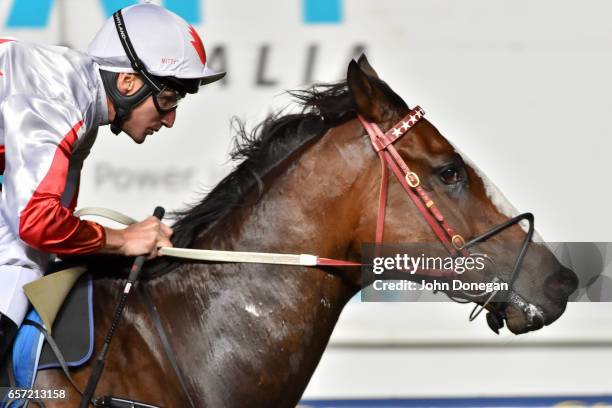 Handsome Thief ridden by Brad Rawiller wins the ADAPT Australia Handicap at Moonee Valley Racecourse on March 24, 2017 in Moonee Ponds, Australia.