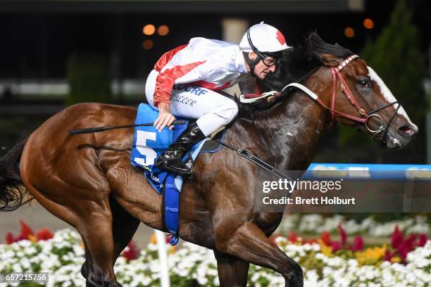 Handsome Thief ridden by Brad Rawiller wins the ADAPT Australia Handicap at Moonee Valley Racecourse on March 24, 2017 in Moonee Ponds, Australia.