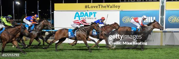 Handsome Thief ridden by Brad Rawiller wins the ADAPT Australia Handicap at Moonee Valley Racecourse on March 24, 2017 in Moonee Ponds, Australia.