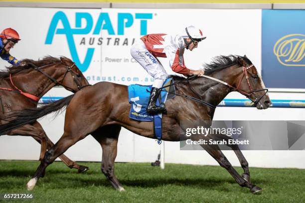 Handsome Thief ridden by Brad Rawiller wins the ADAPT Australia Handicap at Moonee Valley Racecourse on March 24, 2017 in Moonee Ponds, Australia.