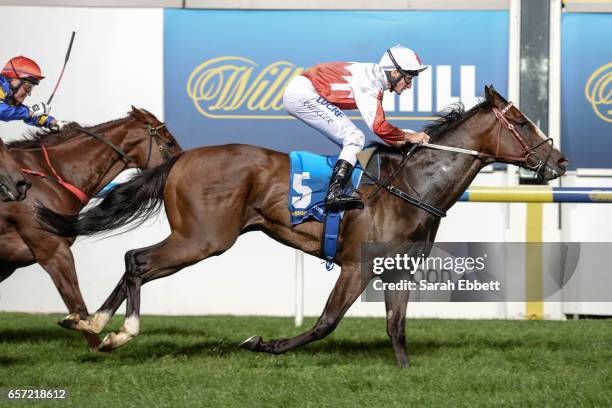 Handsome Thief ridden by Brad Rawiller wins the ADAPT Australia Handicap at Moonee Valley Racecourse on March 24, 2017 in Moonee Ponds, Australia.